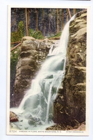 Cascade in Flume White Mountain NH Photostint ca 1910