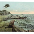 Pair Tree Peaks Island Portland ME Leighton 10050 ca 1910