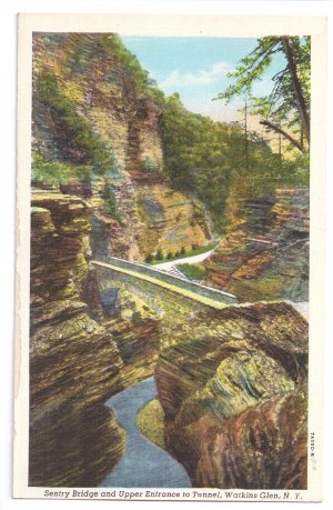 Watkins Glen NY Sentry Bridge Curteich