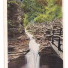 Watkins Glen NY Sylvan Rapids Tichnor Vintage Postcard