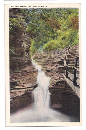 Watkins Glen NY Sylvan Rapids Tichnor Vintage Postcard