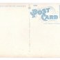 Watkins Glen NY Elfin Gorge Tichnor Vintage Postcard