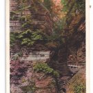 Watkins Glen NY Pillar of Beauty Tichnor Vintage Postcard