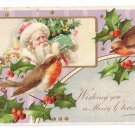 Christmas Santa Robins and Holly Vintage Embossed Postcard