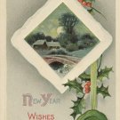 Country Scene Holly Vintage Embossed New Year Postcard