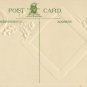 Country Scene Holly Vintage Embossed New Year Postcard