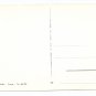 Italy Firenze Florence Multiview 4X6 Postcard