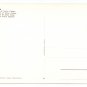 Italy Rome Forum of Julius Caesar Postcard 4X6