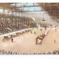 Canadian National Exhibition Toronto Judging Cattle 1915