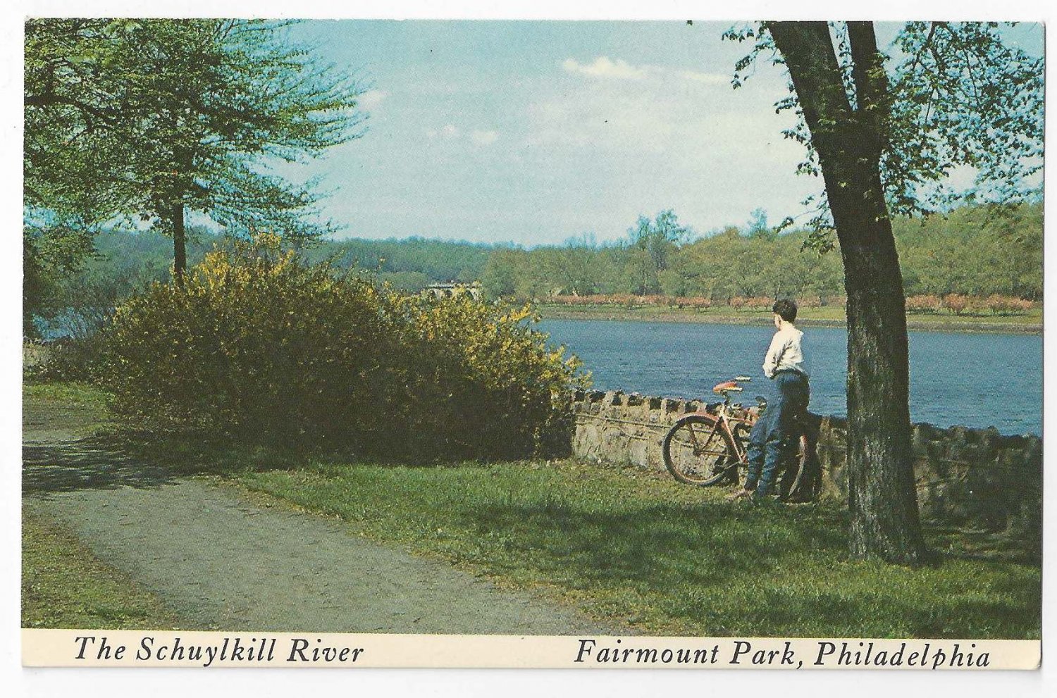 Philadelphia PA East River Drive Cherry Blossoms Fairmount Park 1976