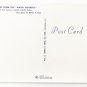 Amish Men Mennonite Public Sale Postcard Lancaster Co PA Frey Photocago Daily News Postcard