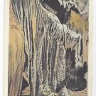 Shenandoah Caverns VA Hanging Gardens Vintage Postcard