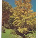 DuPont Winterthur Museum Gardens DE Autumn Foliage Quarry and Lower Ponds Continental Postcard
