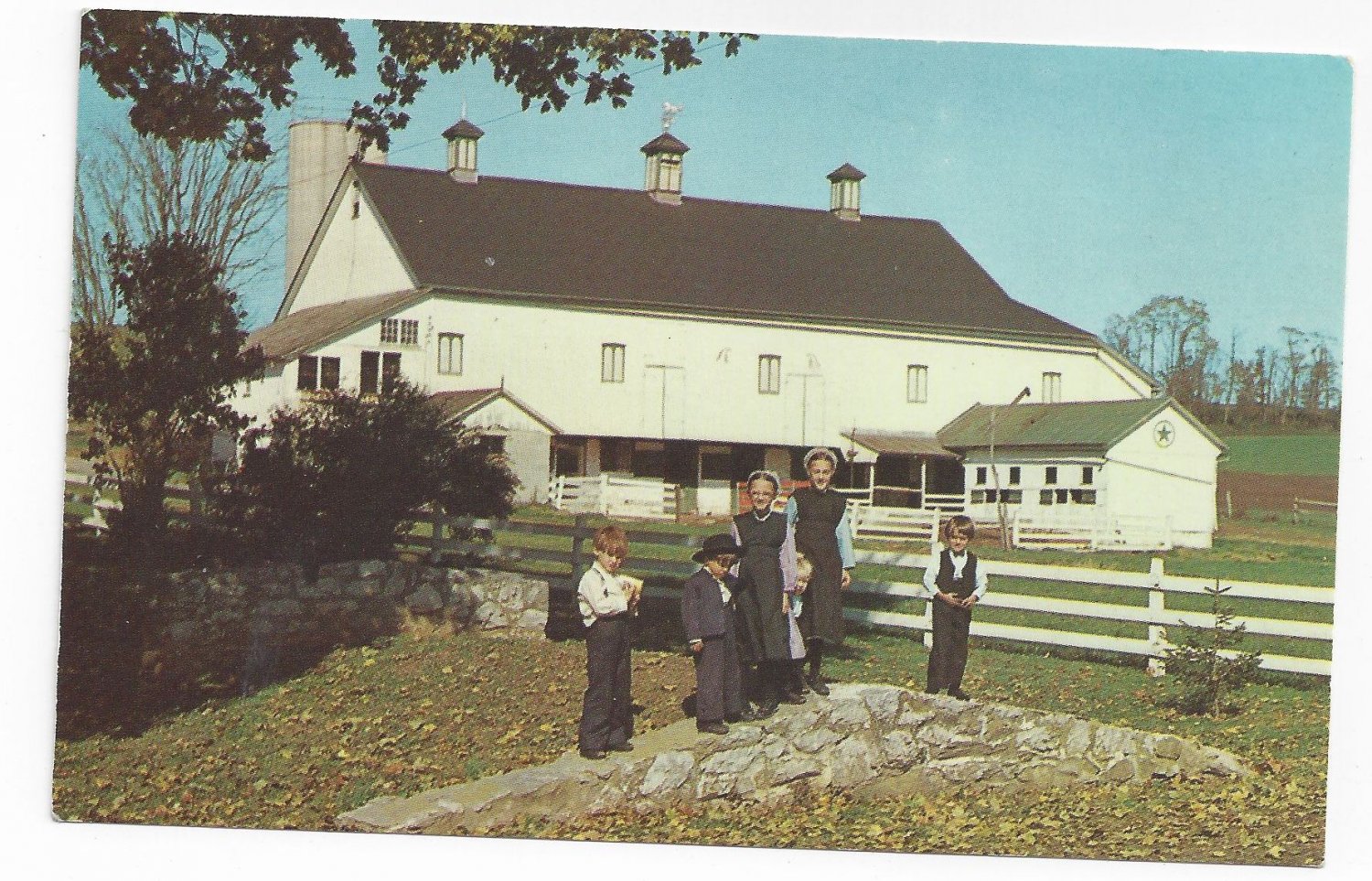 Pennsylvania Dutch Amish Children in front of Barn Vintage 1969 Postcard