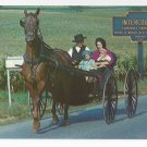 Intercourse PA Amish Family in Horse and Buggy Vintage Postcard
