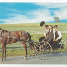 Amish Courting Buggy Young Men Pennsylvania Dutch Country Vintage Postcard