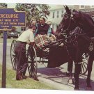 Intercourse PA Amish Teens Socializing Horse Buggy Vintage 1969 Postcard Intercourse PA Amish Teens Socializing Horse Buggy Vintage 1969 Postcard