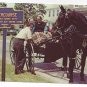 Intercourse PA Amish Teens Socializing Horse Buggy Vintage 1969 Postcard