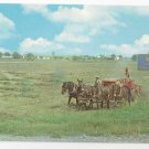 Intercourse PA Amish Farmer Using Horse Drawn Modern Baler Vintage Postcard