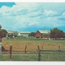 Amish Pennsylvania Dutch Farm Hay Fields Vintage Postcard Lancaster County