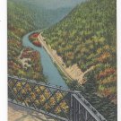 Grand Canyon of PA Bradley Wales Lookout Vintage Tichnor Linen Postcard