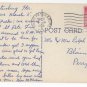 Florida Flower Flame Vine Vintage 1956 Linen Postcard
