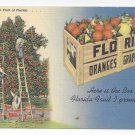 Florida Fruit Crate Oranges Grapefruit Vintage Linen Postcard Florida Fruit Crate Oranges Grapefruit Vintage Linen Postcard