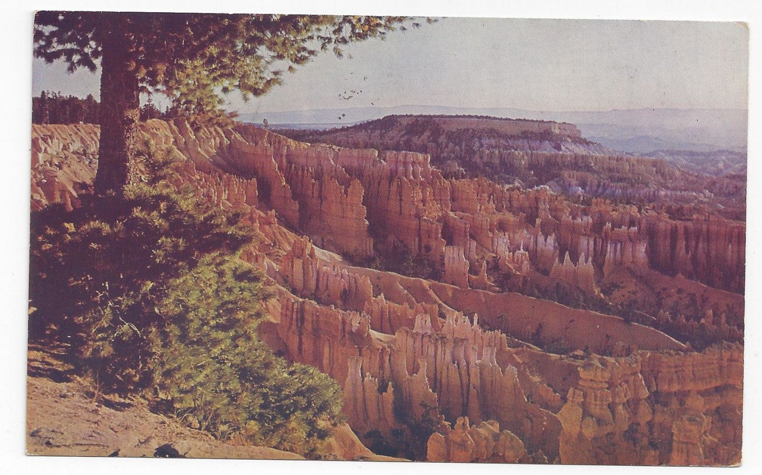 UT Bryce Canyon National Park Utah Vintage Mike Roberts Postcard