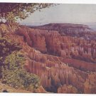 UT Bryce Canyon National Park Utah Vintage Mike Roberts Postcard