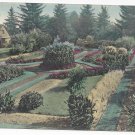 OR Portland Sunken Garden Park Ave Vintage 1908 Postcard