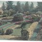 OR Portland Sunken Garden Park Ave Vintage 1908 Postcard