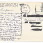 Desert Flower Ocotillo Buggy Whip Cactus Vintage 1976 Postcard 4X6
