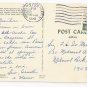 FL Cypress Trees Lake Eloise Florida Vintage 1970 Postcard