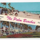 FL Palm Beach Greetings Vintage 1970 Florida Postcard