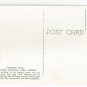 FL Everglades National Park Anhinga Trail Vintage Postcard