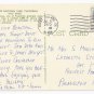 CA Yosemite National Park Half Dome Rock Vintage Postcard