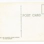 FL Everglades Sawgrass Palmetto Trees Vintage Postcard