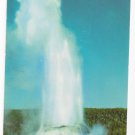 MT Yellowstone National Park Castle Geyser Vintage Postcard