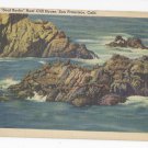 CA San Francisco Seals on Seal Rock Vintage 1943 Linen Postcard CA San Francisco Seals on Seal Rock Vintage 1943 Linen Postcard