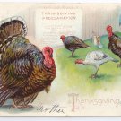 Thanksgiving Turkey Proclamation Vintage Tuck's Postcard