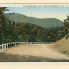 NY Mohican Trail Catskill Mountain Road Vintage Postcard