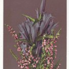 Flowers Bouquet Vintage Postcard Switzerland Photochromie