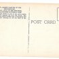 Grand Canyon Yellowstone National Park Great Falls in Distance Vtg Postcard