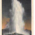 WY Yellowstone Old Faithful Geyser Vtg Haynes Linen Postcard 34219