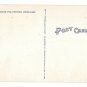 WY Yellowstone National Park Lower Falls and Canyon Vtg Tichnor Linen Postcard