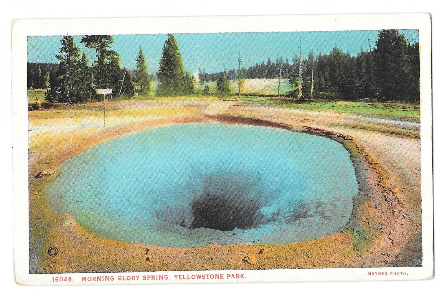 Wy Yellowstone Park Morning Glory Hot Spring Vtg Haynes Postcard 1928 Wyoming