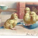Easter Postcard Chicks in Ladle Vintage Tuck Embossed UDB ca 1905 Postcard Easter Postcard Chicks in Ladle Vintage Tuck Embossed UDB ca 1905 Postcard