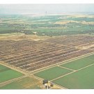 Greeley CO Monfort Gilcrest Cattle Feedlot Aerial View Vtg Lew Dakan Postcard