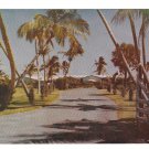 FL Fort Lauderdale Sea Ranch Hotel Entrance Vtg Postcard