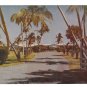 FL Fort Lauderdale Sea Ranch Hotel Entrance Vtg Postcard